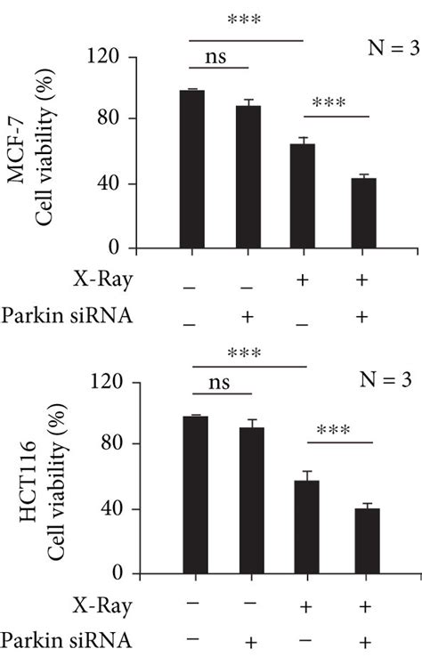 Inhibition Of Mitophagy Promotes Ionizing Radiation Induced Cell Death Download Scientific