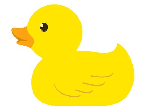 Rubber duck Vector Art Stock Images | Depositphotos