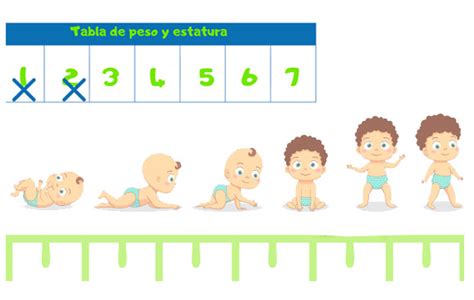 Desarrollo Del Beb Tabla De Peso Mega Baby