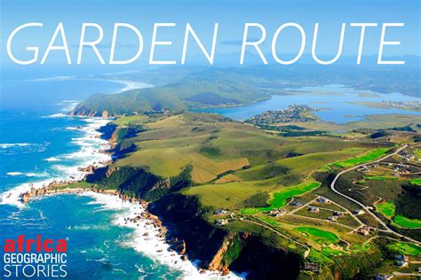 The Garden Route - South Africa’s ultimate road trip - Africa Geographic