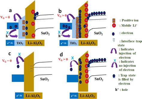 Metalinsulatorsemiconductor Structures Illustrating The Mechanism Of