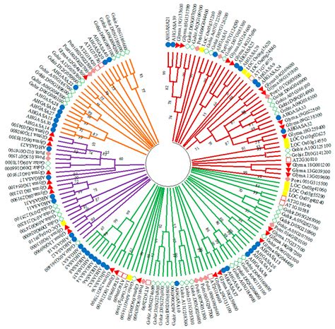 Ijms Free Full Text Genome Wide Identification And Comprehensive Analysis Of The Gasa Gene