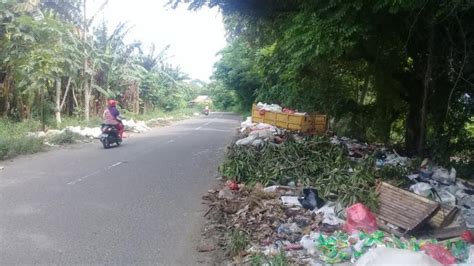 Jorok Sampah Berserakan Di Pinggir Jalan Poros Tellu Limpoe Sidrap