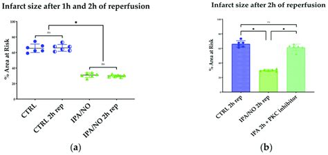 A Infarct Size Expressed As A Percentage Of The Area At Risk Left