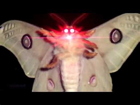 I love lamp (moth lamp meme) | Moth Lamp | Know Your Meme