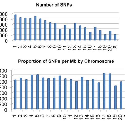 Genomic Distribution Of Snps A The Total Number Of Snps Identified