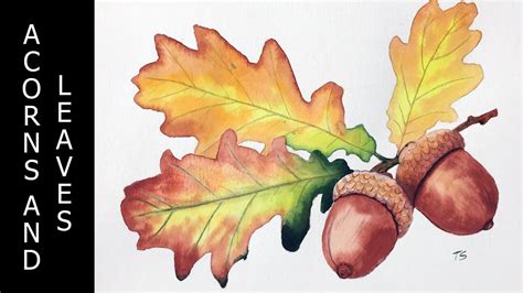 Watercolor Acorns And Leaves Youtube