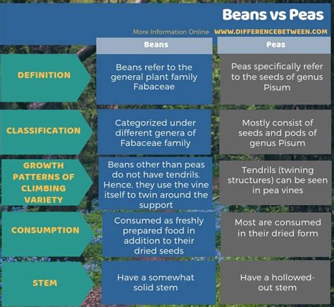 Difference Between Beans and Peas | Compare the Difference Between ...