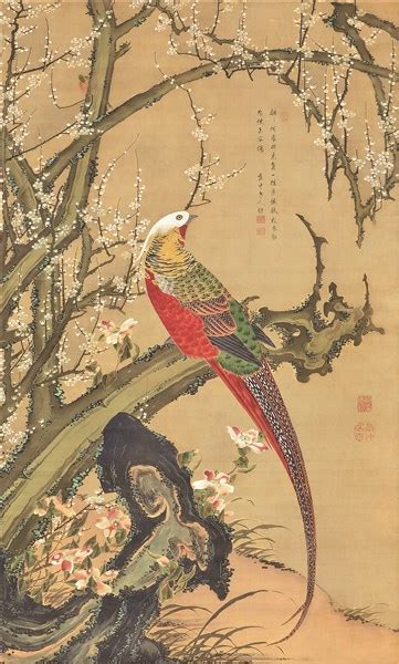 Itō Jakuchū Inscription By Baisō Kenjō Golden Pheasant In White Plum