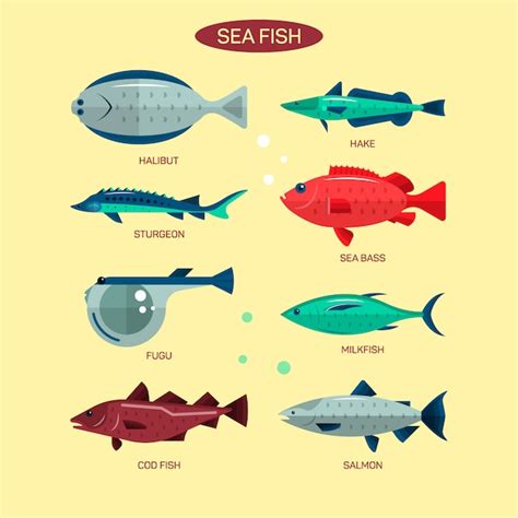 Premium Vector Fish Vector Set In Flat Style Design Ocean Sea And