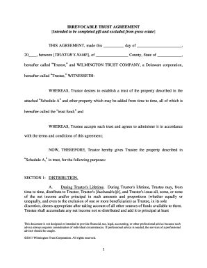 Irrevocable Agreement Template Pdf Template