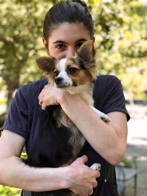 The Best Bishop Ranch Veterinary Center And Urgent Care