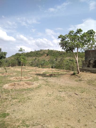 Police Firing Range Gx55rjm At Post Shirla Andhare Ta Patur Dist