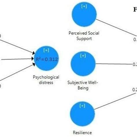 PDF Impact Of Perceived Social Support Resilience And Subjective