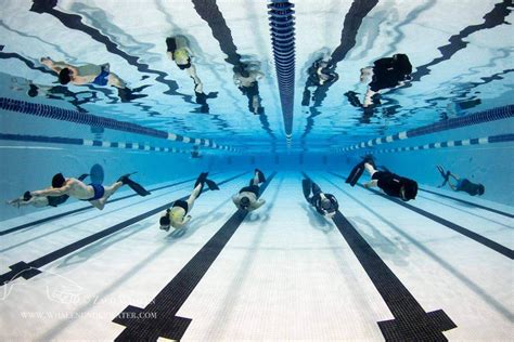 Freediving Practice East Coast Divers