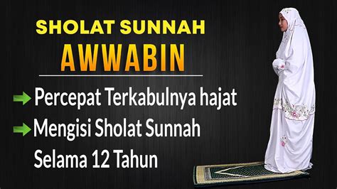 Niat Dan Tata Cara Sholat Sunnah Awwabin Lengkap Dengan Teks And Peraga Youtube