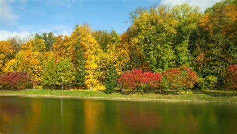 Schöne Herbstbäume Und Büsche Im Wald Der Rand Des Waldes Stockbild