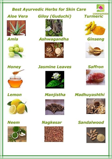 Best Ayurvedic Herbs for Skin Care | Ayurvedic herbs, Ayurvedic ...