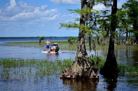 Collection of Lake Waccamaw, NC Wildlife And Boating Photos ...