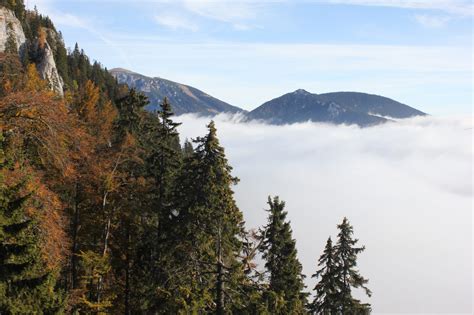 Rax Seilbahn Im Pendeltakt Ins Hochgebirge