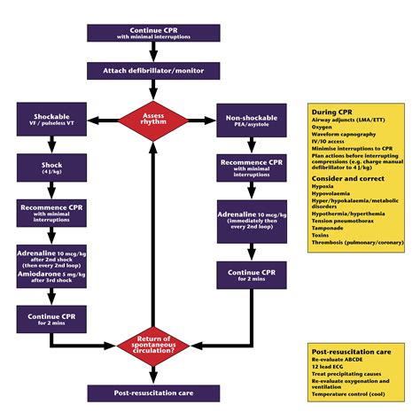 Algorithms Paediatric Advanced Life Support