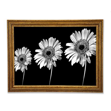 Ebern Designs Gerbera G Nsebl Mchen Schwarz Und Wei Einzelner