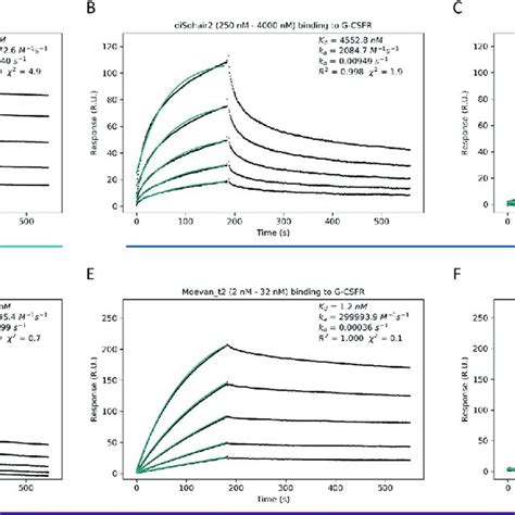 The Designs Directly Bind The Human G Csf Receptor Spr Sensograms Of