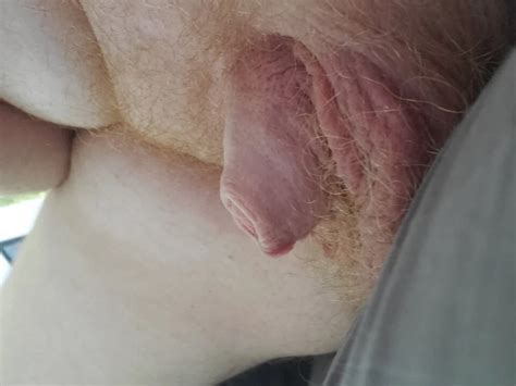 Free Hairy Cock Solo Gay Porn Videos Xhamster