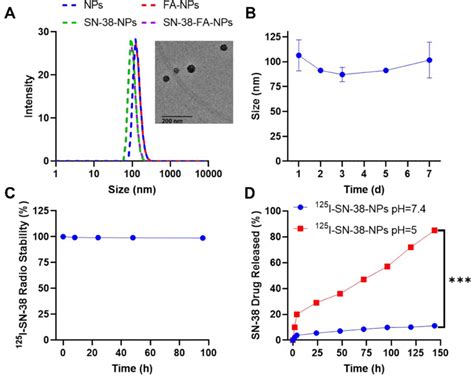 Characterization Of Nanoparticles A The Hydrodynamic Size And