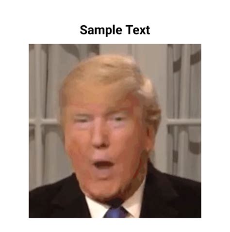 Trump Mfw Animated  Maker Piñata Farms The Best Meme Generator