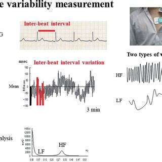 The Methods For Heart Rate Variability Hrv Measurement Rr Intervals