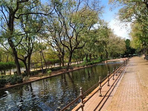 Spring in Seville (Spain)! : r/infp