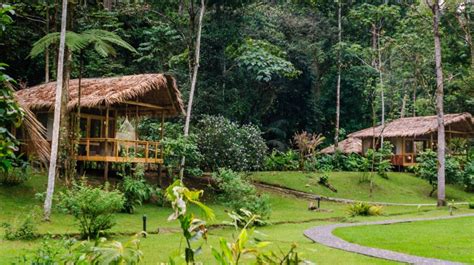 10 Best Eco Lodges In Costa Rica Bookmundi