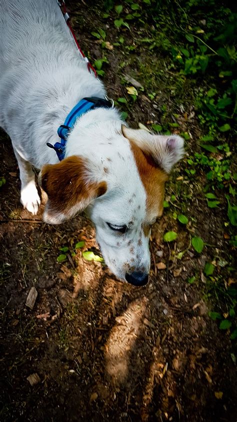 Discovering Rideau River Provincial Park For The First Time