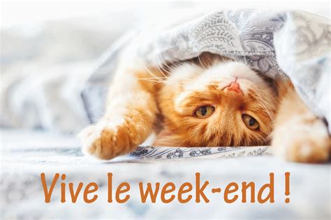 Cartes Virtuelles Vive Le Week End Joliecarte