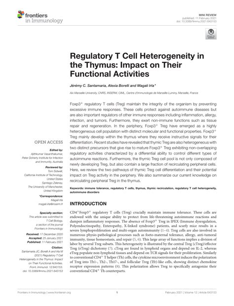 Pdf Regulatory T Cell Heterogeneity In The Thymus Impact On Their