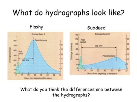 Flashcard 1 2 Discharge Relationships Within Drainage Basins Quizlet