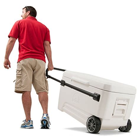 Best Coolers With Wheels And Handles Guide To Rolling Coolers On Wheels