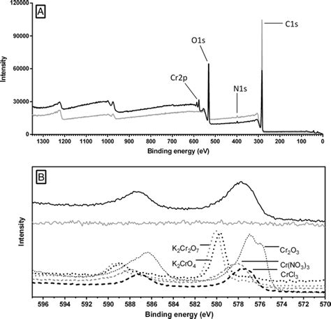 Xps Survey Scanning Spectra A And High Resolution Cr 2p Xps Spectra