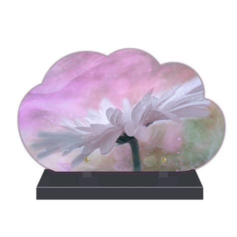 Plaque Fun Raire Nuage Cm X Cm Fleurs Fpf