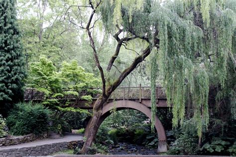 Crystal Springs Rhododendron Gardens | Kristi Does PDX: Adventures in Portland, OR