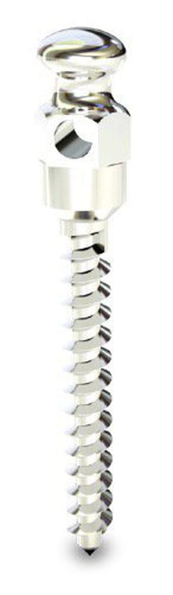 Titanium Fix B Fix Black Fix Dental Implant Spotimplant