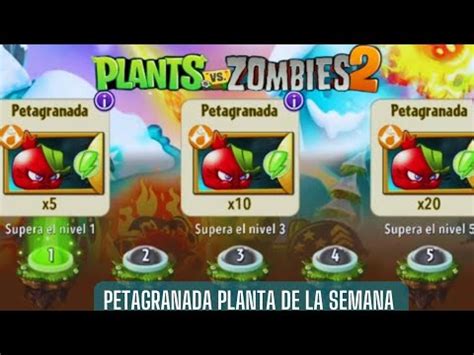 Jugando Con La Planta PETAGRANADA En Plantas De La Semana Plantas Vs