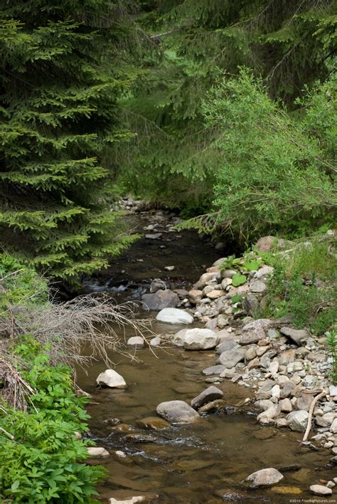 Brook Flow