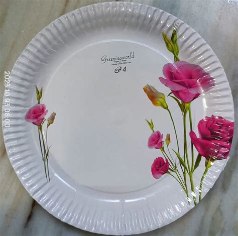 12inch Printed Disposable Paper Plate At Rs 54 Pack Printed Paper