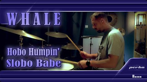 Whale Hobo Humpin Slobo Babe Drum Cover Youtube