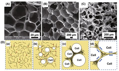 Cellular Structure Of Polymer Foams A Closed Cell Foam Reprinted With