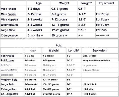 Mouse/Rat size chart..... | Reptile Forums