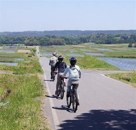 2024年 鳥取県で絶対外さないおすすめ観光スポットトップ10【定番から穴場まで！】 トリップアドバイザー