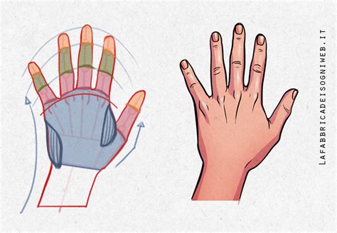 Come Disegnare Le Mani Tutorial La Fabbrica Dei Sogni